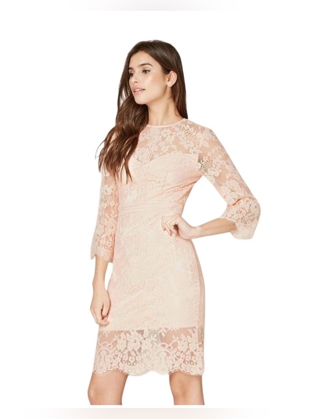 Bebe Blush Pink Lace long flare sleeve Midi Dress size 8